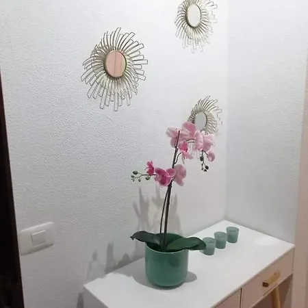 Candelaria 213 * 圣克鲁斯-德特内里费